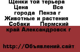 Щенки той терьера › Цена ­ 10 000 - Все города, Пенза г. Животные и растения » Собаки   . Пермский край,Александровск г.
